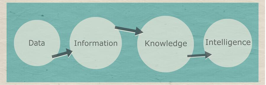 DataInformationKnowledgeIntelligence