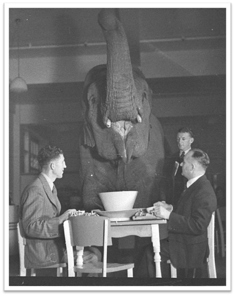 stakeholder_expectations