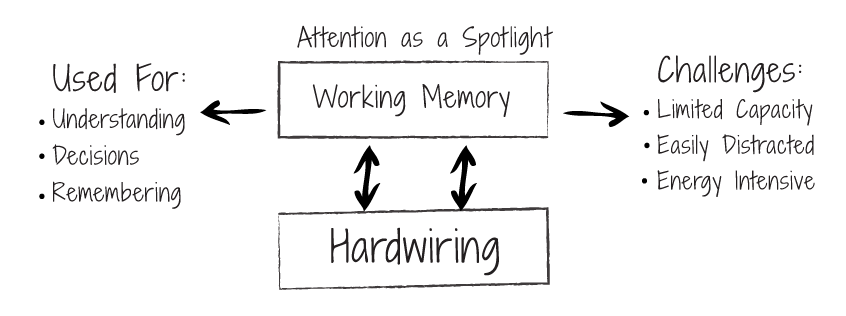 Working_memory